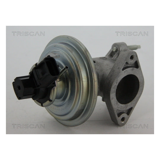 Triscan EGR Valve to suit Ford