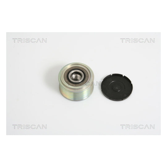 Triscan Alternator Freewheel Clutch to suit Ford, Nissan