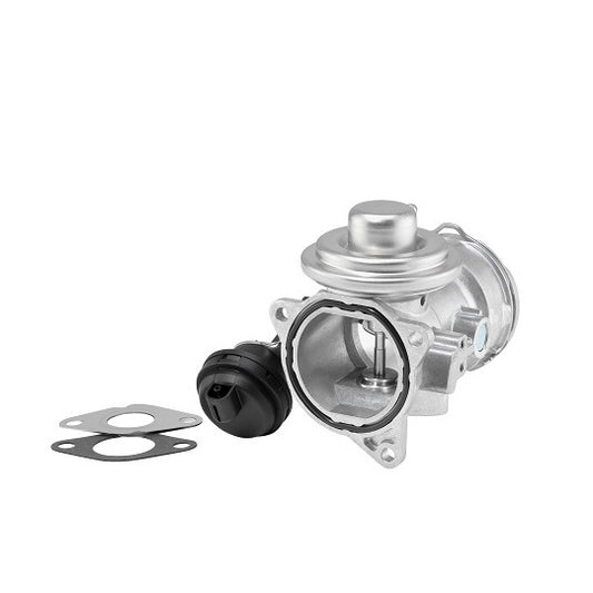 Borgwarner (Wahler) EGR Valve to suit Ford, Audi, VW