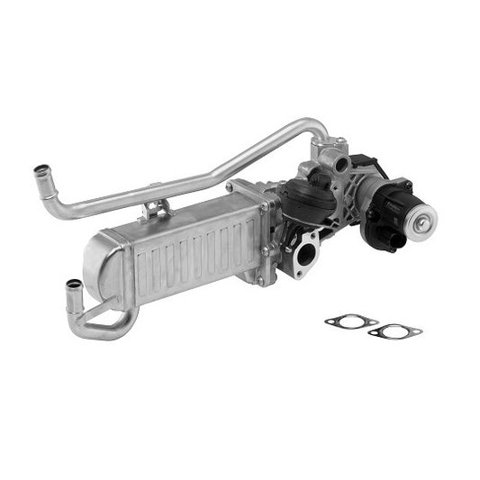 Borgwarner (Wahler) EGR Module to suit VW, Hitachi, Seat