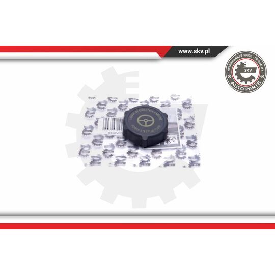 Esen Skv Seal Ring, power steering pump blanking plug to suit Ford