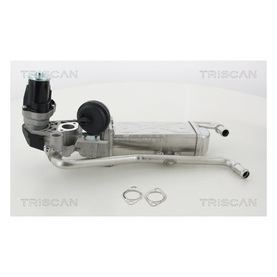 Triscan EGR Valve to suit Audi, VW, Seat