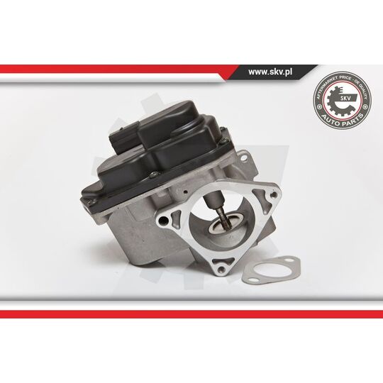 Esen Skv EGR Valve to suit Audi, VW, Hitachi