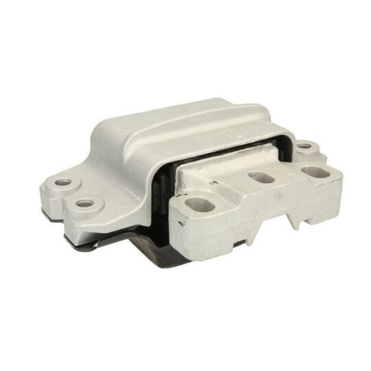 Reinhoch Engine Mounting to suit Audi, VW, Seat