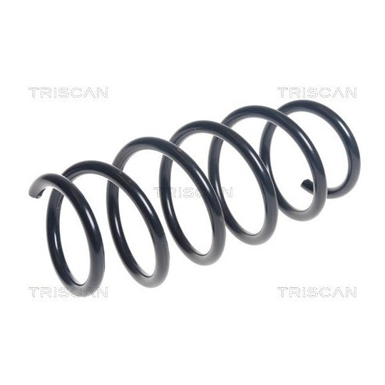 Triscan Coil Spring to suit Ford