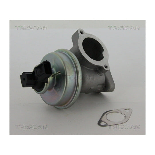 Triscan EGR Valve to suit Ford, Jaguar