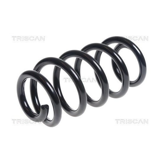 Triscan Coil Spring to suit Audi