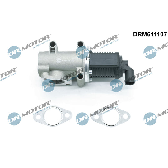 Dr.Motor Automotive EGR Valve to suit Fiat, Suzuki, Opel