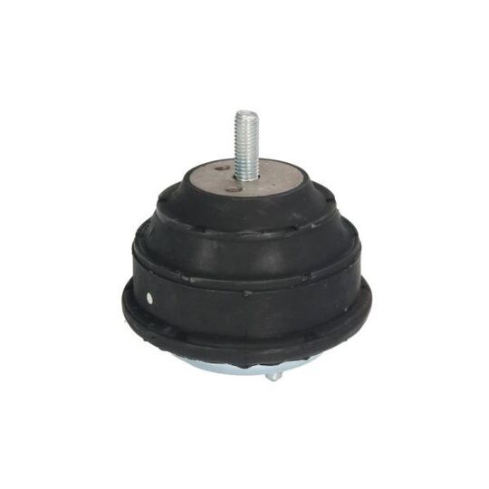 Reinhoch Engine Mounting to suit BMW