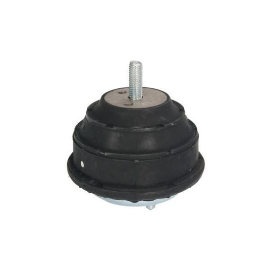 Reinhoch Engine Mounting to suit BMW