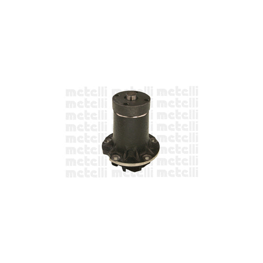 Metelli Water pump to suit Mercedes-Benz, Bugatti