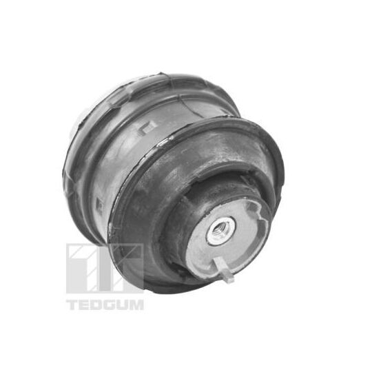 Tedgum Engine Mounting to suit Mercedes-Benz