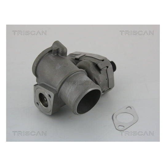 Triscan EGR Valve to suit Ford, Jaguar