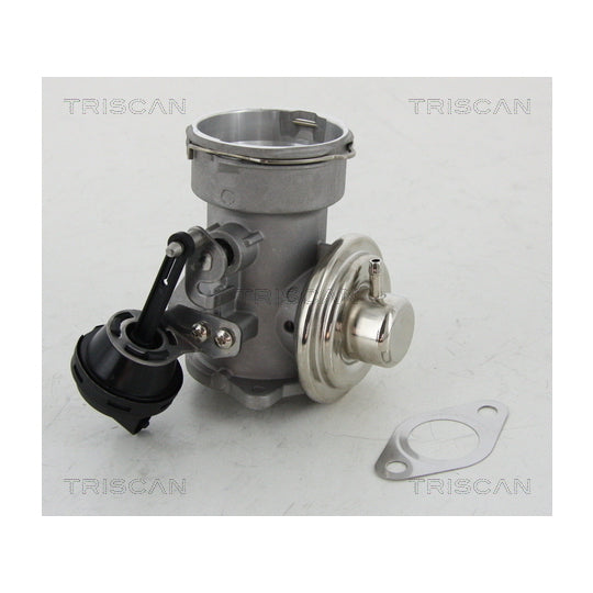 Triscan EGR Valve to suit Ford, Audi, VW