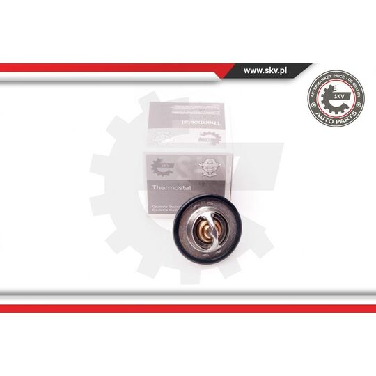 Esen Skv Thermostat, coolant to suit Nissan, Renault