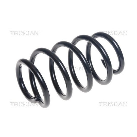 Triscan Coil Spring to suit Audi
