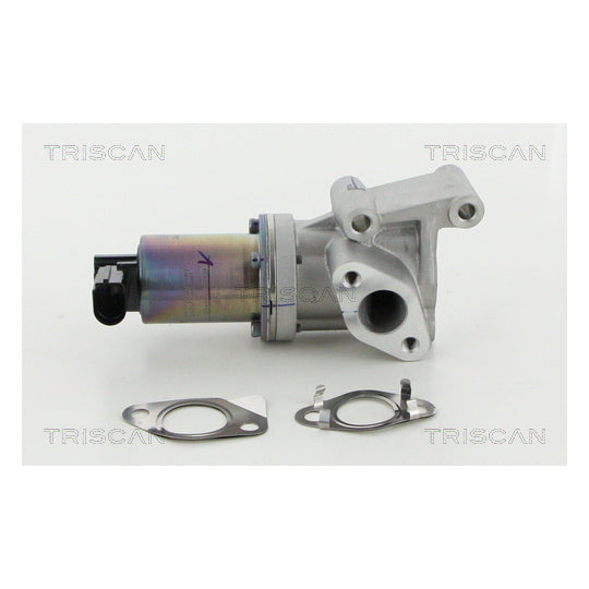 Triscan EGR Valve to suit Hyundai, Kia, Hitachi