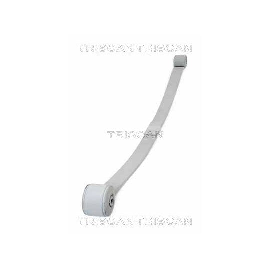 Triscan 8765 16045 Spring Pack to suit Ford