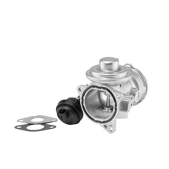 Borgwarner (Wahler) EGR Valve to suit Ford, Audi, VW