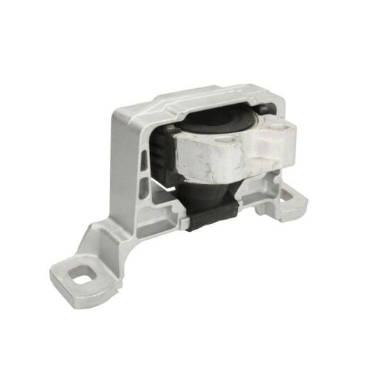 Reinhoch Engine Mounting to suit Ford