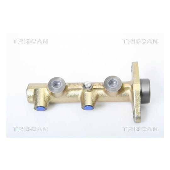 Triscan Brake Master Cylinder to suit Volvo