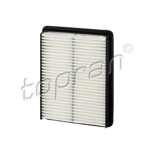 Topran Air filter to suit Hyundai, Kia