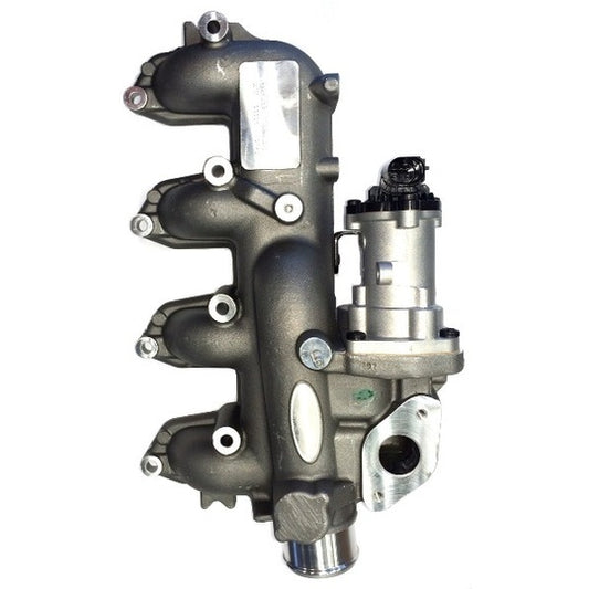 Borgwarner (Wahler) EGR Valve to suit Ford