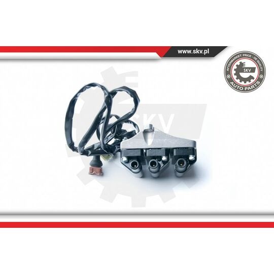 Esen Skv Ignition coil to suit Audi, VW, Hitachi
