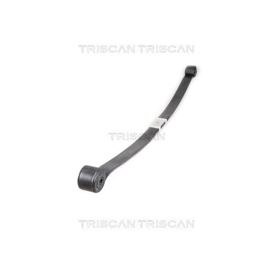 Triscan Spring Pack to suit Ford