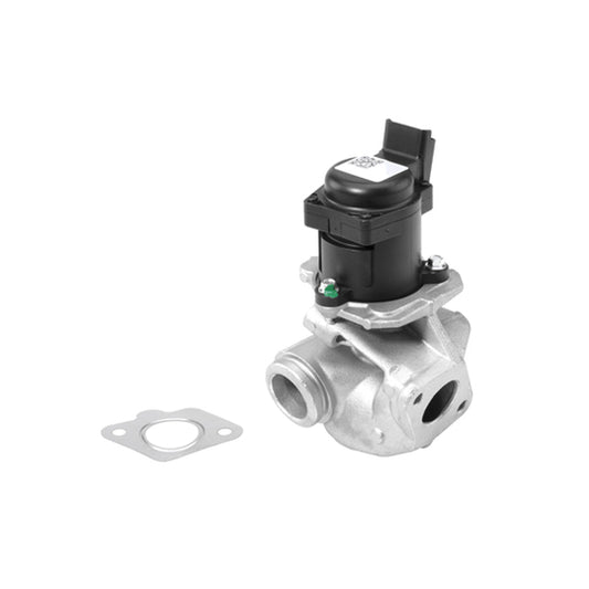 Borgwarner (Wahler) EGR Valve to suit Ford, Mazda, Citroën