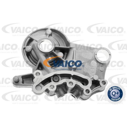 Vaico Camshaft Bushes to suit Audi, VW, Mercedes-Benz