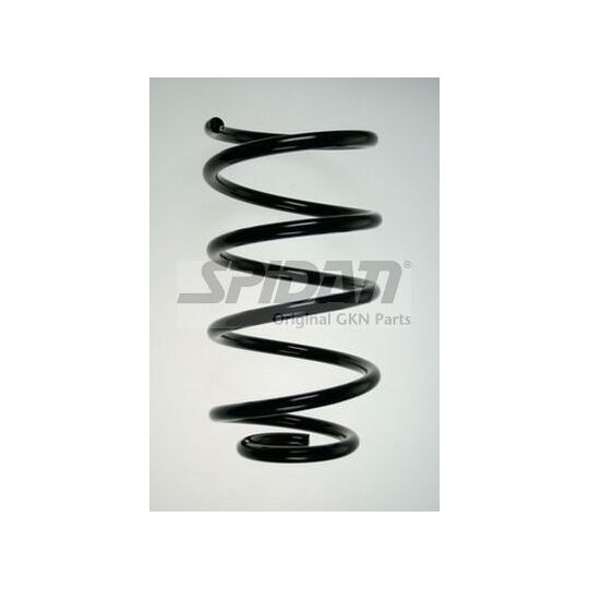 Spidan Coil Spring to suit Ford