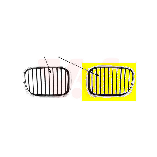 Van Wezel Radiator Grille to suit BMW