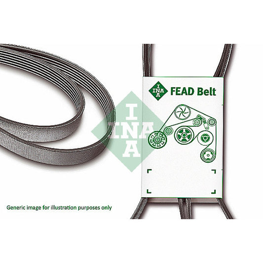 Ina V-Ribbed Belt to suit Ford, Fiat, Iveco