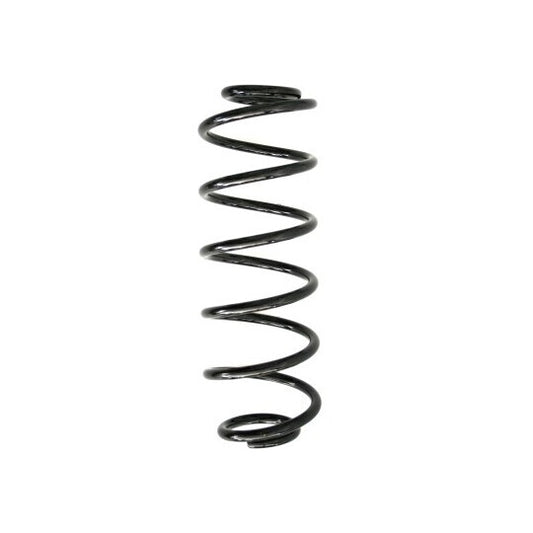 Spidan Coil Spring to suit Ford
