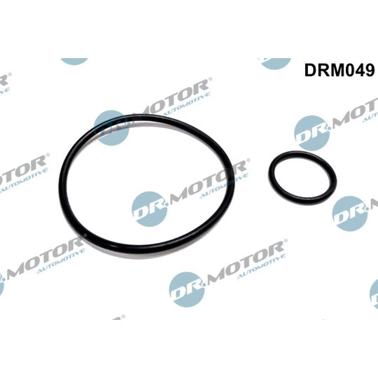 Dr.Motor Automotive Seal Set, vacuum pump to suit Ford, Peugeot, Citroën