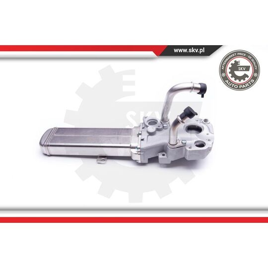 Esen Skv EGR Valve to suit Audi, VW, Seat