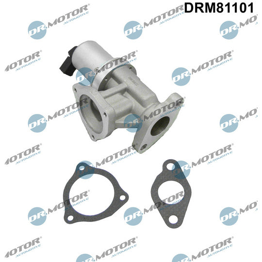 Dr.Motor Automotive EGR Valve to suit Hyundai, Kia
