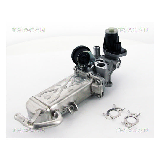 Triscan EGR Valve to suit Audi, VW, Seat