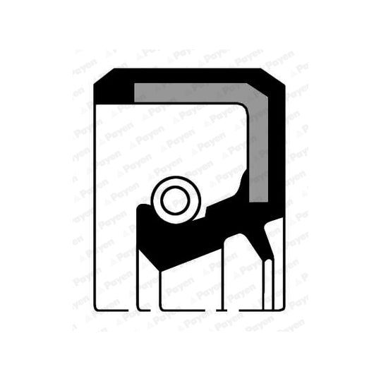 Payen Shaft Seal, crankshaft to suit Ford, Mazda