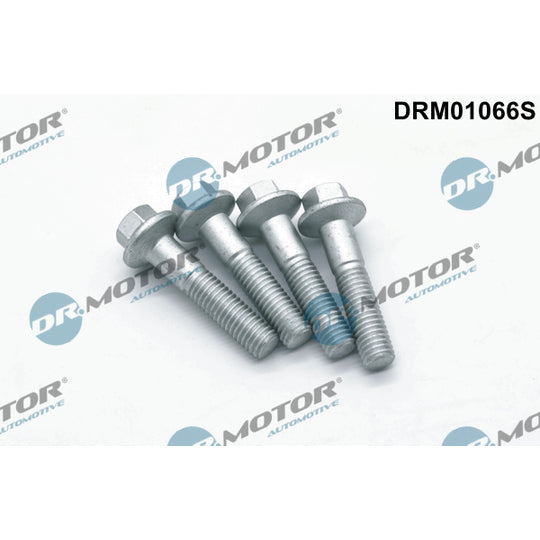 Dr.Motor Automotive Screw, injection nozzle holder to suit Ford