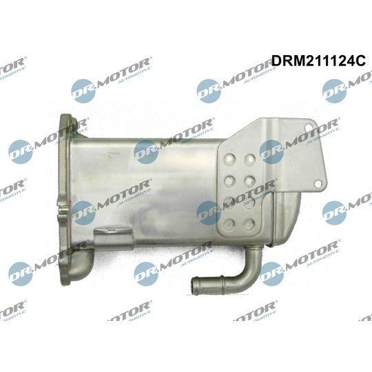 Dr.Motor Automotive Cooler, exhaust gas recirculation to suit Audi, Seat