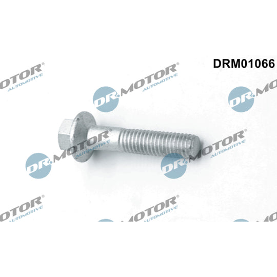 Dr.Motor Automotive Screw, injection nozzle holder to suit Ford