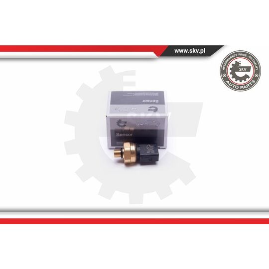 Esen Skv Sensor, fuel pressure to suit Audi, VW, Seat