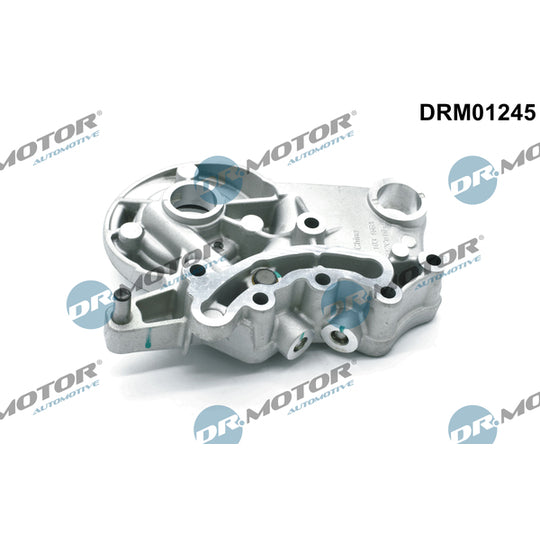 Dr.Motor Automotive Bearing Bracket, camshaft to suit Audi, VW, Seat