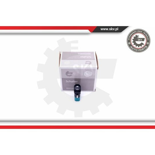 Esen Skv Switch, window regulator to suit Ford, Lift-Tek