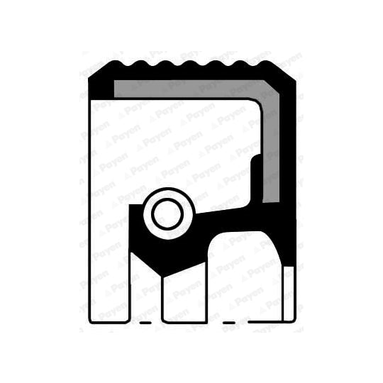 Payen Shaft Seal, camshaft to suit Ford, Peugeot, Citroën