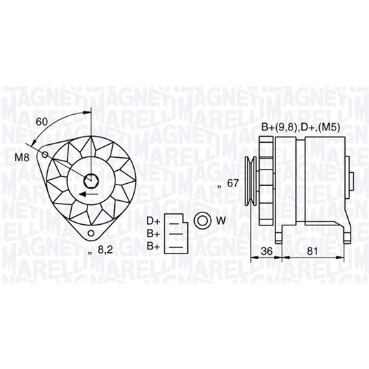 Magneti Marelli Alternator to suit Mitsubishi, Ford, Massey Ferguson