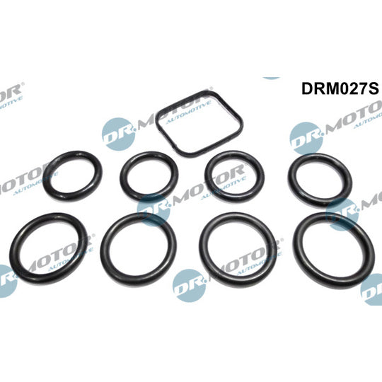 Dr.Motor Automotive Gasket Set, intake manifold to suit Ford, Peugeot, Citroën