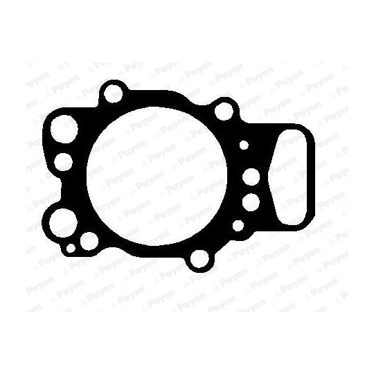 Payen Gasket, cylinder head to suit Scania